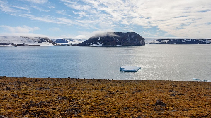 Эксперт рассказал, что выгодно строить в Арктике